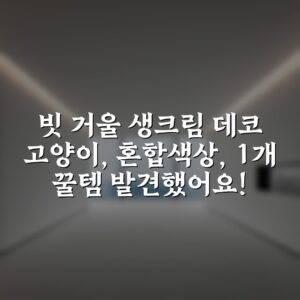 빗 거울 생크림 데코 고양이, 혼합색상, 1개 꿀템 발견했어요!